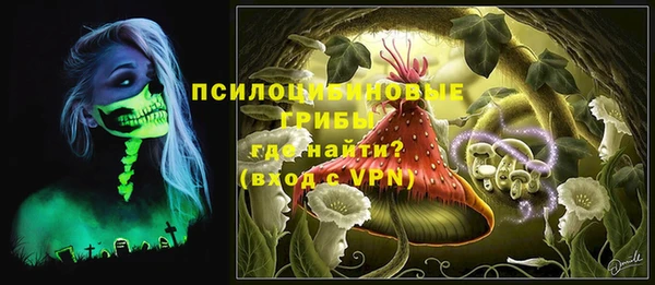 амф Белоозёрский